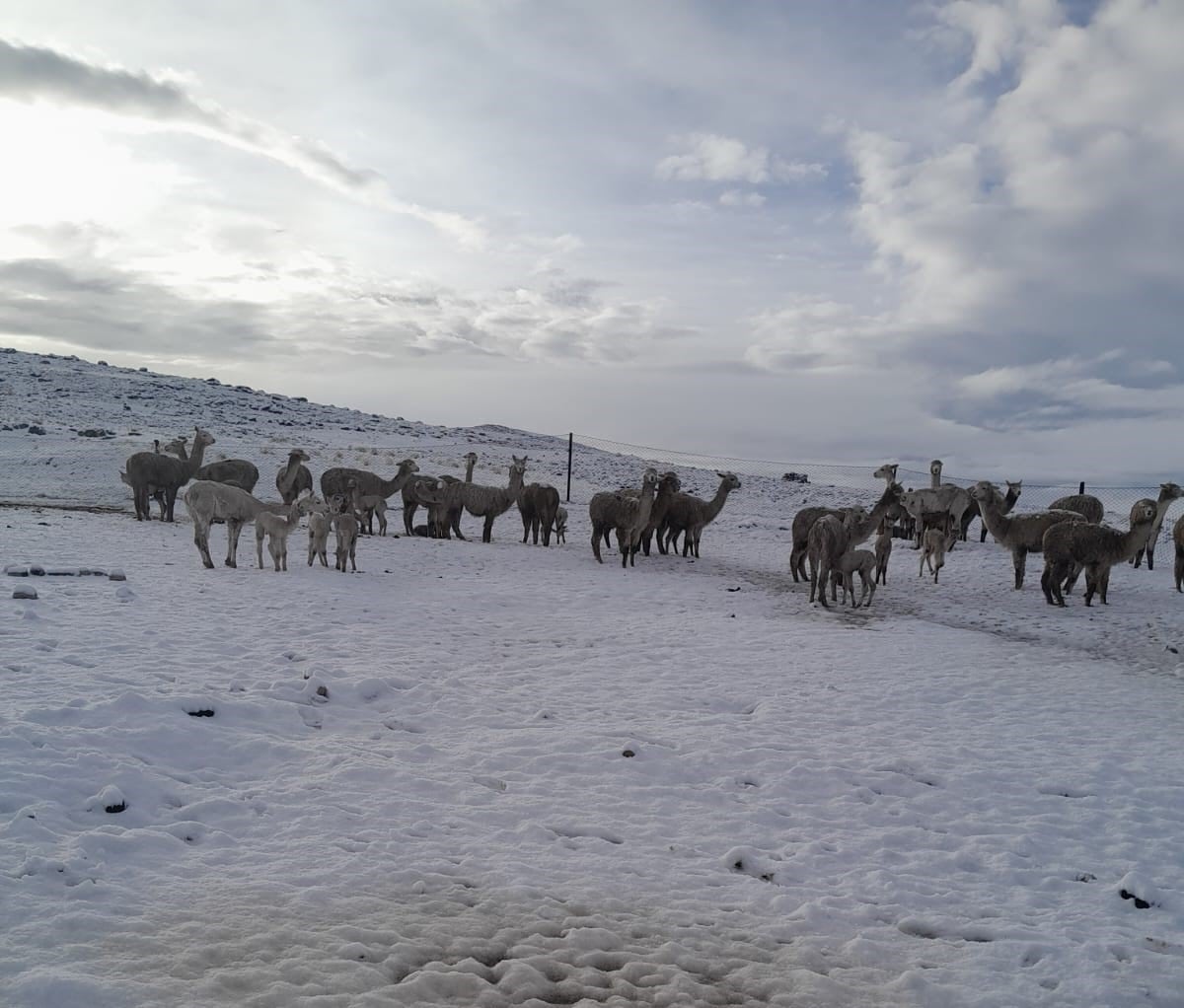 Lluvias y nevadas serán más intensas hoy Arequipa (Foto: Senamhi)