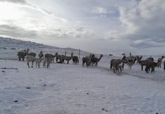 Lluvias y nevadas serán más intensas este miércoles en Arequipa (VIDEO)