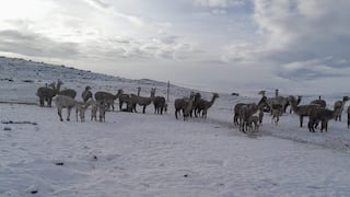 Lluvias y nevadas serán más intensas este miércoles en Arequipa (VIDEO)