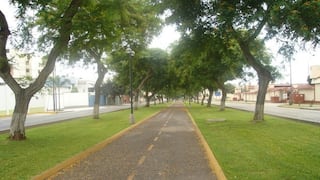 ​Ampliación de Av. Salaverry: Municipalidad de Lima desautoriza a alcalde Bringas