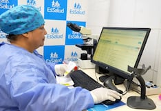 Ica: muestras de presunto caso de carbunco fueron remitidas al Instituto Nacional de Salud