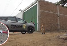 Trujillo: Dejan explosivo en paradero de empresa Ramiro Prialé