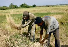 La sequía afecta a más de 60 000 agricultores de Piura