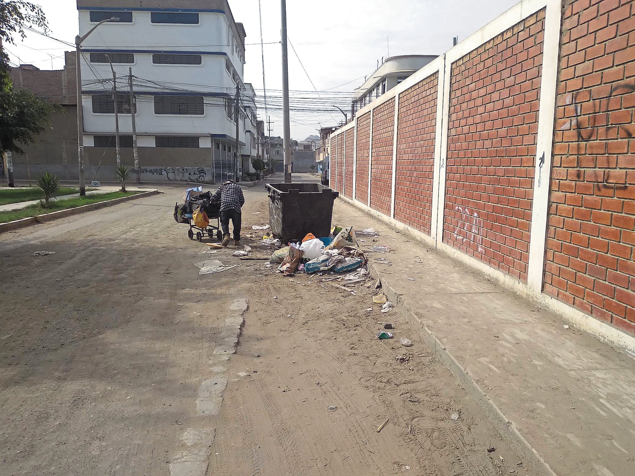 Vecinos temen enfermedades.