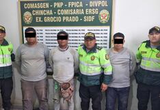 Chincha: caen tres sujetos por robo de cables a empresa de telecomunicaciones