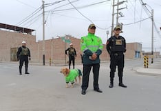 Chincha: disponen presencia policial en Buenaventura tras ataque delictivo a menores