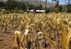 Crece alarma en Tarma por la llegada de “El Niño” que podría causar sequía