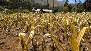 Crece alarma en Tarma por la llegada de “El Niño” que podría causar sequía