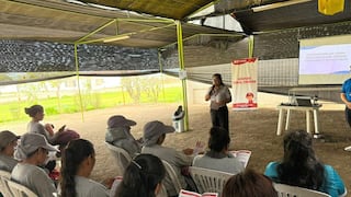 Realizan taller de asesoría laboral para fortalecer la empleabilidad en Chincha