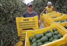 Promulgan ley que dará nuevo impulso al agro para generar otros miles de empleos formales
