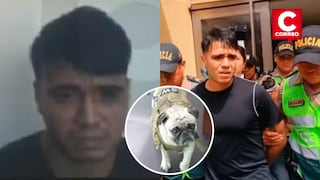 Maltrato animal: Sujeto que agredió brutalmente a perrito pug en Breña fue sentenciado a 10 meses de prisión suspendida