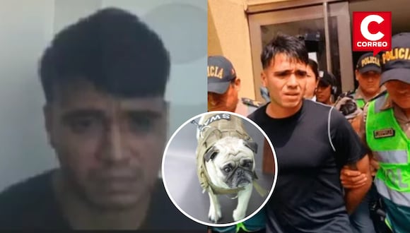 Sujeto que agredió perrito pug en Breña fue sentenciado a 10 meses de prisión suspendida