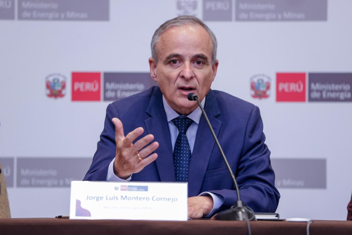 La iniciativa fue promovida por los congresistas Elvis Vergara, de Acción Popular, y Ruth Luque Ibarra, del Bloque Democrático Popular. Foto: Minem.