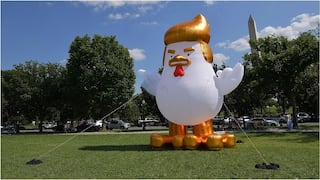 Donald Trump: gallina con la cara del presidente apareció en la Casa Blanca (FOTOS)