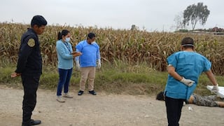 Pisco: hombre es encontrado sin vida en camino a centro poblado Núñez 