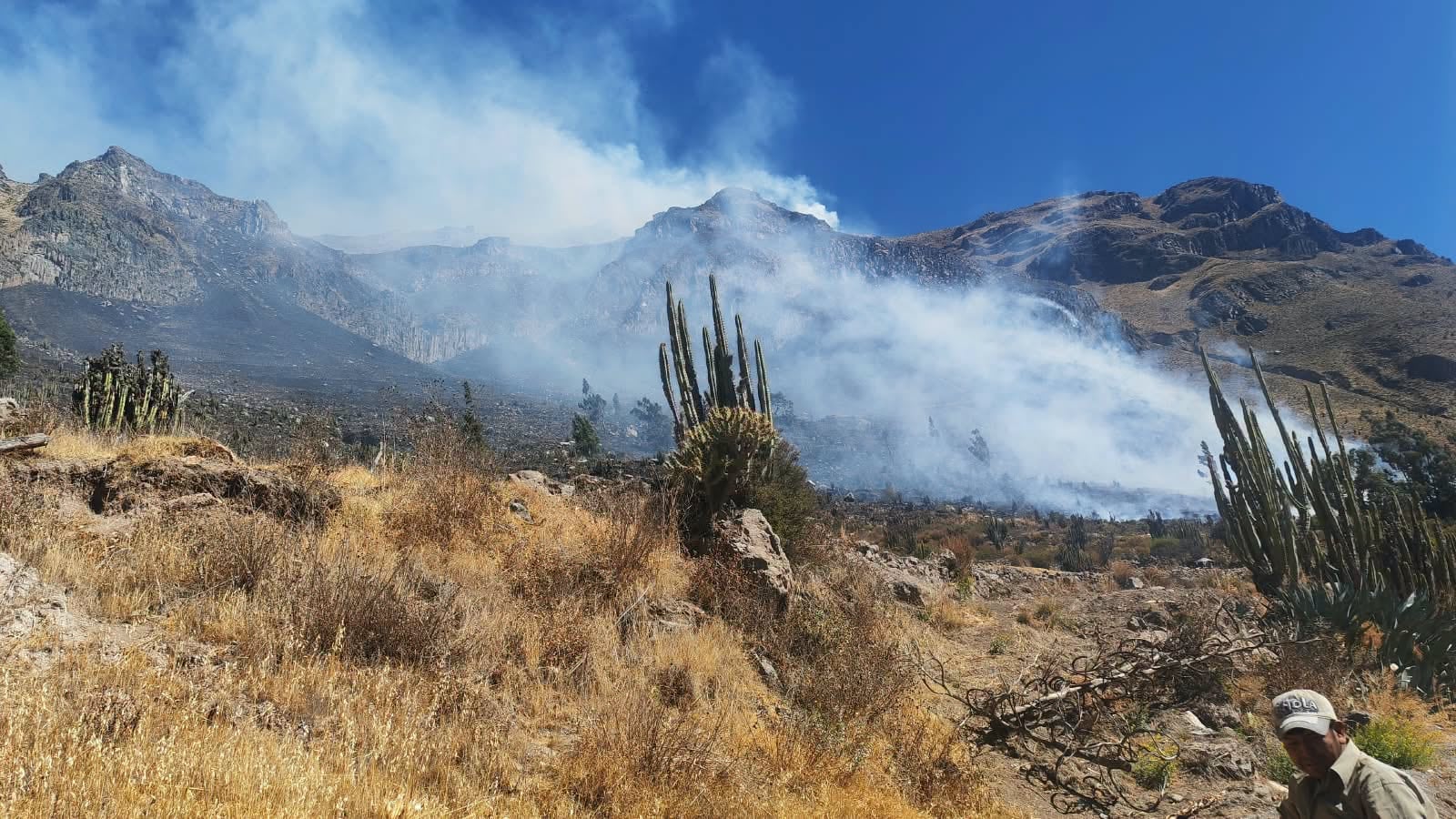 Arequipa: Incendio en Maca se extiende por fuertes vientos