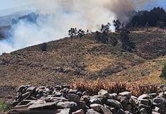 Incendio forestal en Arequipa: fuego se extiende por fuertes vientos en Chiguata