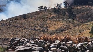 Incendio forestal en Arequipa: fuego se extiende por fuertes vientos en Chiguata