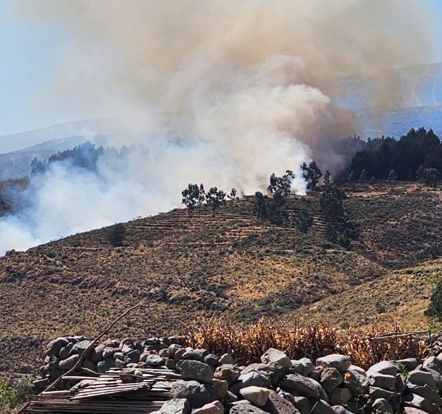 Incendio forestal en Arequipa: fuego se extiende por fuertes vientos en Chiguata