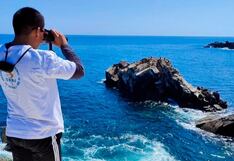 La Reserva Nacional de Illescas es puesta en los ojos del mundo