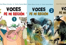Las distintas voces narrativas de mi región