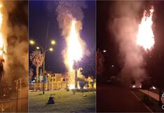 Ica: pirotécnico causa que palmera se queme por completo y palomas mueran calcinadas