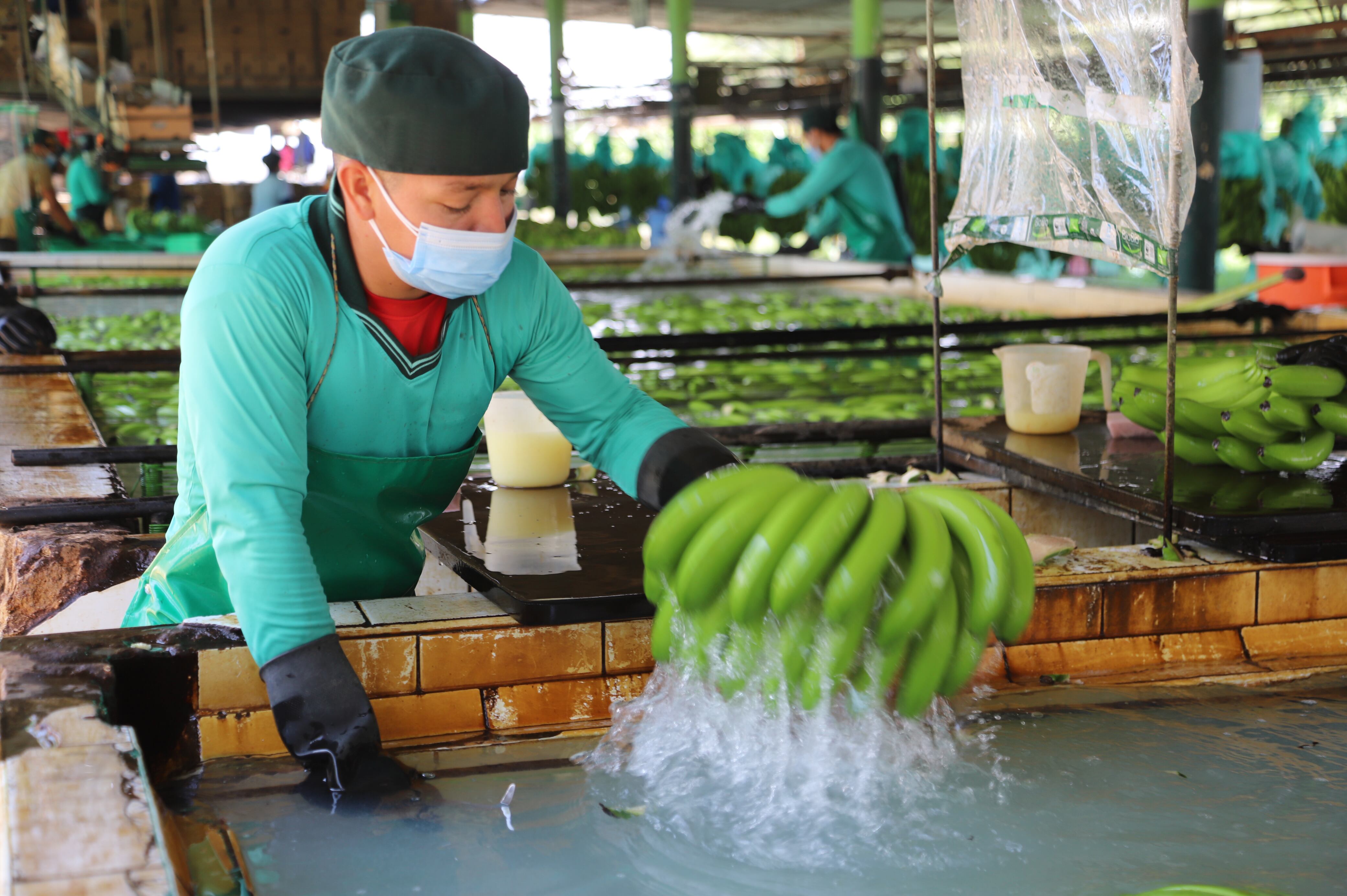 Capacitarán a empresarios para exportar a Reino Unido