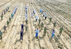 Trujillo: Reforestan sector El Tablazo en Huanchaco