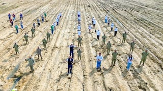 Trujillo: Reforestan sector El Tablazo en Huanchaco