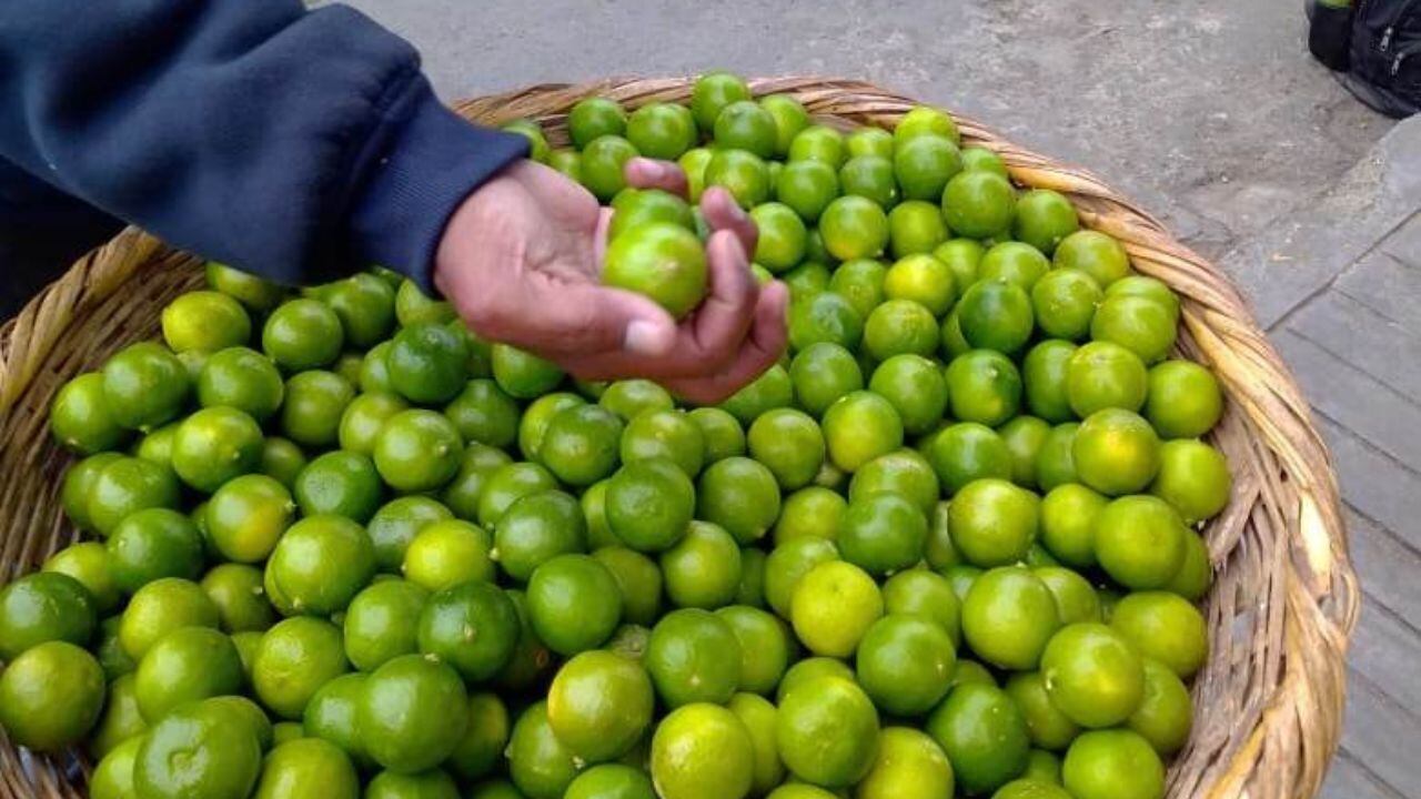 Especialista dice que debido al Fenómeno El Niño, el clima no es óptimo y esto afectaría a otros productos.