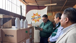 Arequipa: distribuirán 2,500 litros de insecticida biológico para combatir la mosca de la fruta