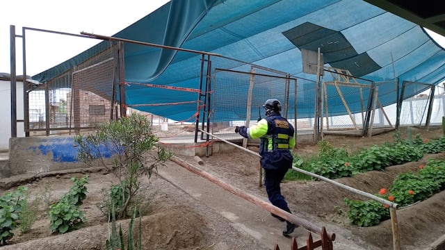 Tacna: Ventarrón y polvareda dejan daños en techos de colegios y viviendas