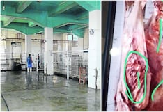 Ica: trabajadora se infecta de carbunco y disponen el cierre del camal municipal