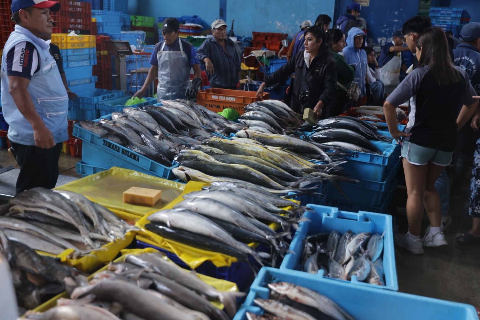 Precios de pescados, como el perico, registraron una disminución por una mayor oferta en el mercad. (Fotos: Hugo Pérez / @photo.gec)