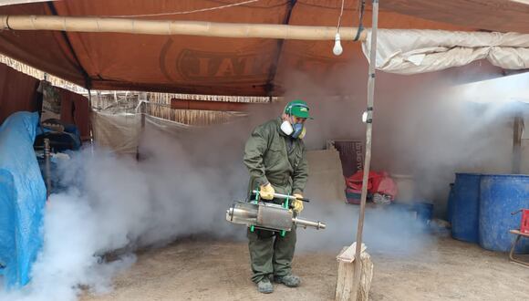 Alerta máxima por casos autóctonos de dengue en Arequipa. (Foto: GEC)