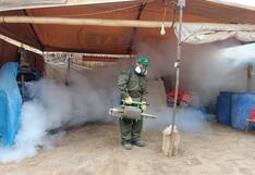 Arequipa: Intensifican fumigación en Cocachacra por segundo caso de dengue autóctono (VIDEO)