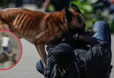 Pachacámac: hombre es atacado brutalmente por dos perros mientras hacía deporte