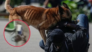 Pachacámac: hombre es atacado brutalmente por dos perros mientras hacía deporte