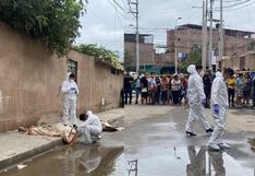 Ica: asesinan de varios disparos a un hombre en Manzanilla