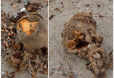 Nasca: reportan hallazgo de presunto cráneo humano cerca de la Cruz de Yanyarina, en Marcona