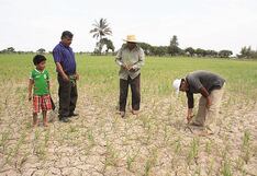 Lambayeque: La falta de agua generará pérdidas de S/ 250 millones