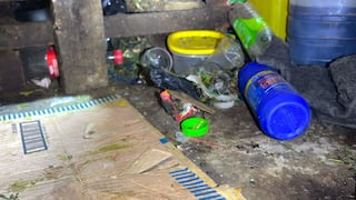 Detectan condiciones insalubres en mercado de Huancayo en medio de alerta por leptospirosis