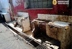 Ica: Fiscalía realiza acción preventiva en camal municipal para evitar riesgos a la salud pública