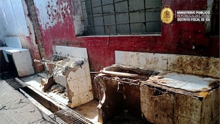 Ica: Fiscalía realiza acción preventiva en camal municipal para evitar riesgos a la salud pública