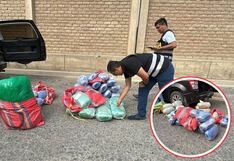 La Libertad: Policía decomisa 300 kilos de marihuana durante operativo en Moche