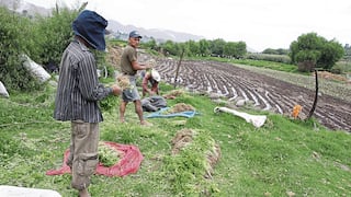 La Libertad ocupa sexto lugar en “Mapa de Distancias del Perú”