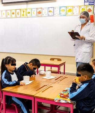 Existe información de que los escolares no consumen los alimentos