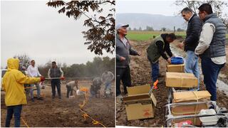 Agencia Agraria Ica gestiona tres motofumigadoras para agricultores del Valle de Ica