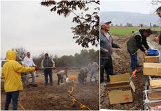 Agencia Agraria Ica gestiona tres motofumigadoras para agricultores del Valle de Ica