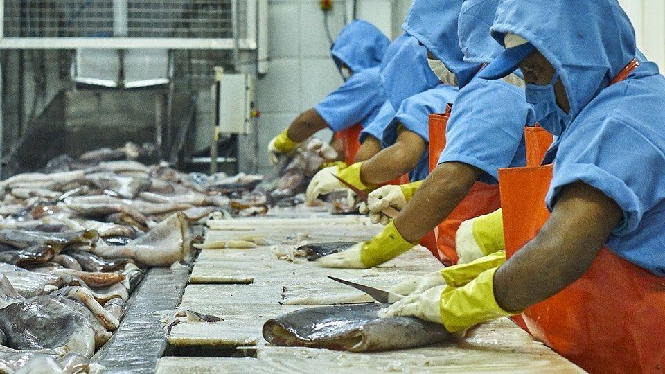 Emitirán certificados de captura de manera virtual